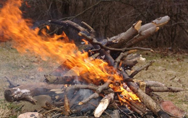 Сжигание веток