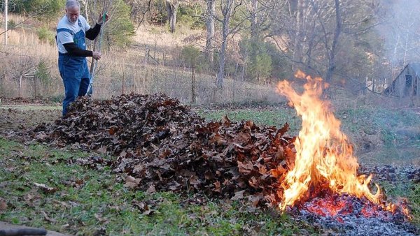 Сжигание сухой листвы