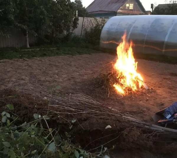 Костер на участке