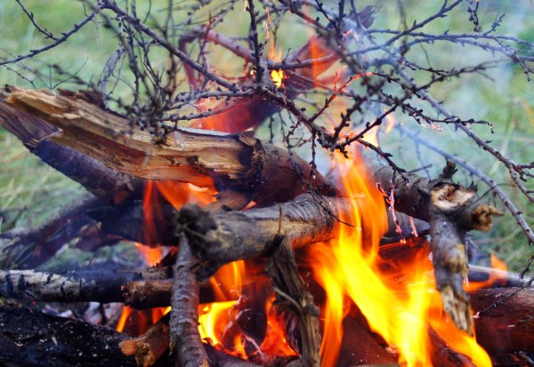 Розжиг костра в лесу