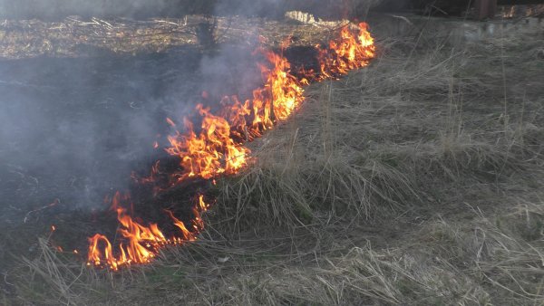 Пал травы Чувашия