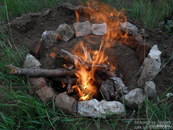 Кострище в лесу