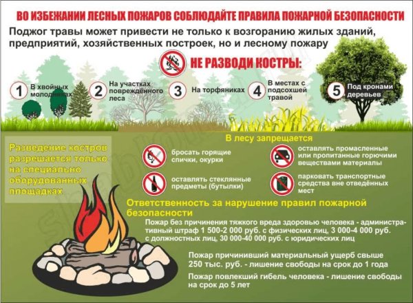 Безопасность разведения костра в лесу