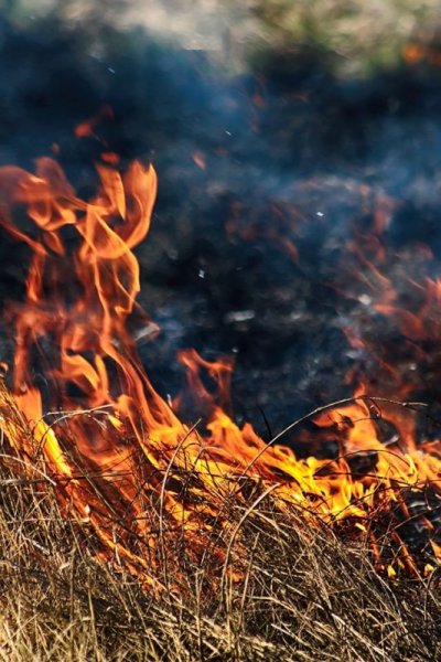 Донбасс в огне картинки