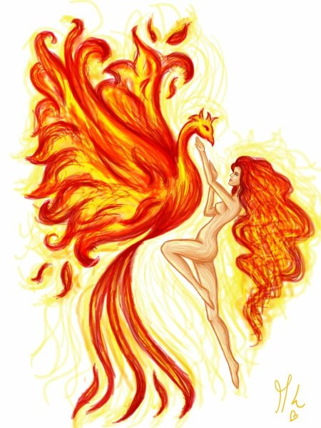 Птица Феникс для срисовки