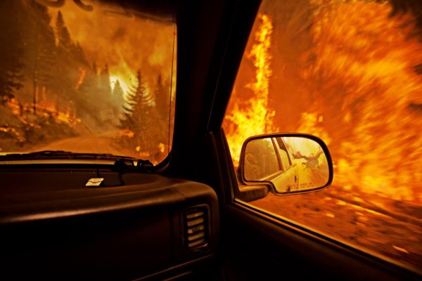 Лес из окна машины