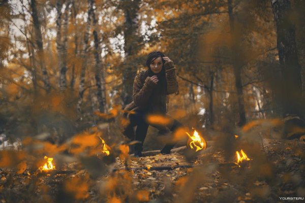 Костер в лесу осенью