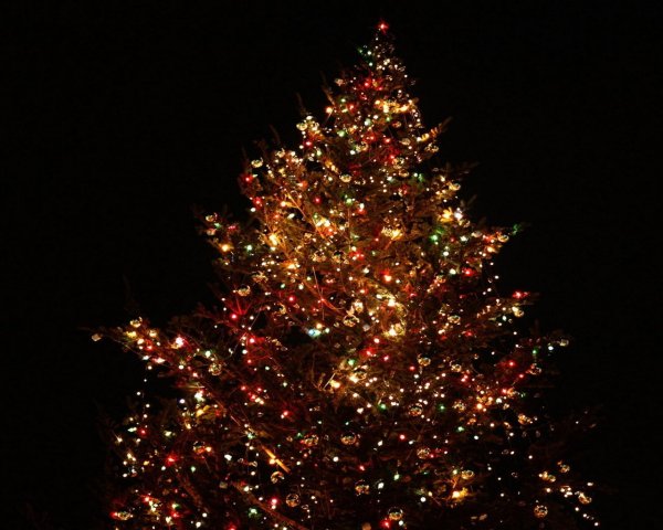 Новогодняя елка с огоньками