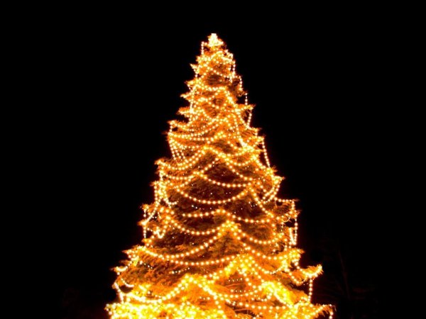 Новогодняя елка с огоньками