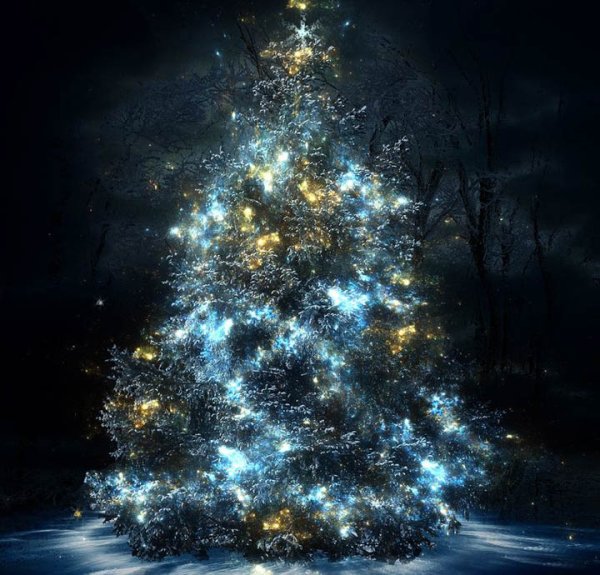 Елка в Огнях