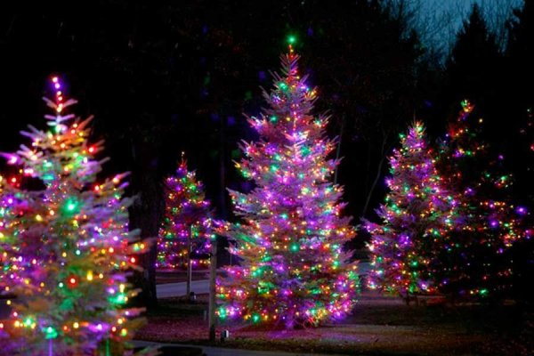 Разноцветные огоньки на елке