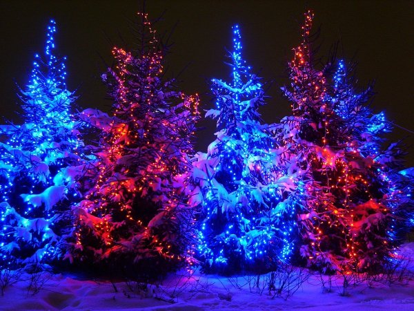 Новогодняя елка