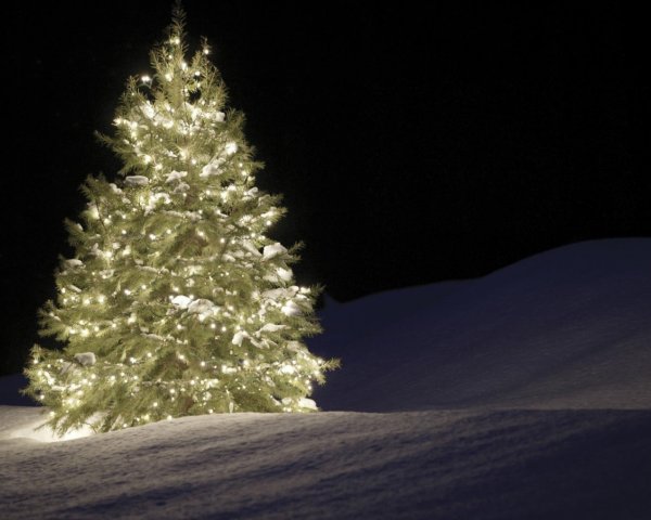 Елка на рабочий стол