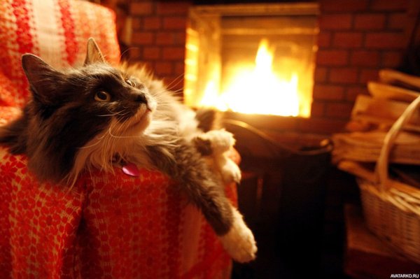 Уютный вечер у камина