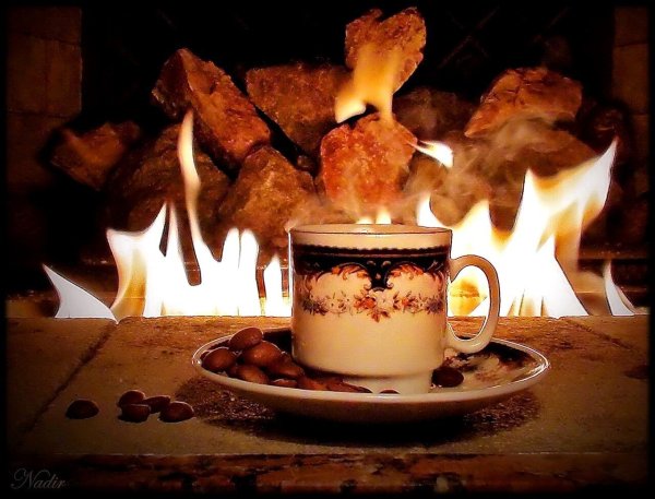 Тёплого уютного вечера