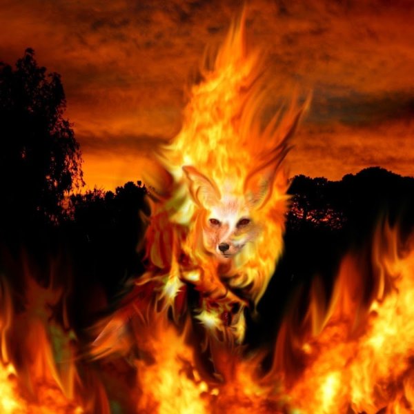 Огненный волк