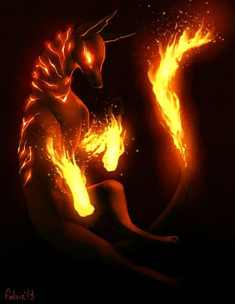 Огненные лисы