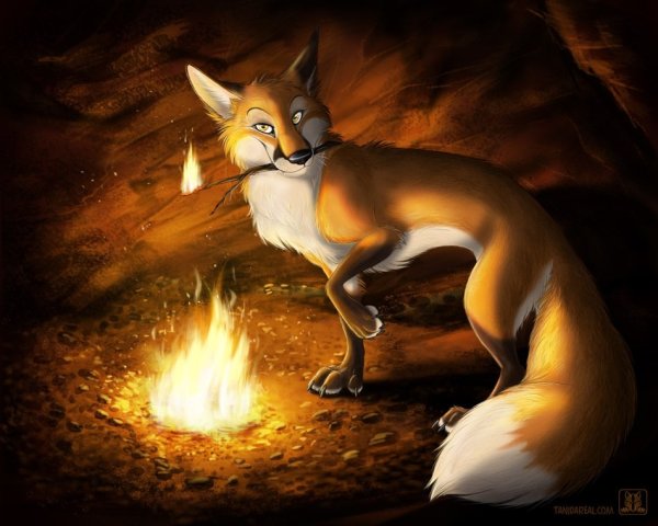 Фурри TANIDAREAL Лис