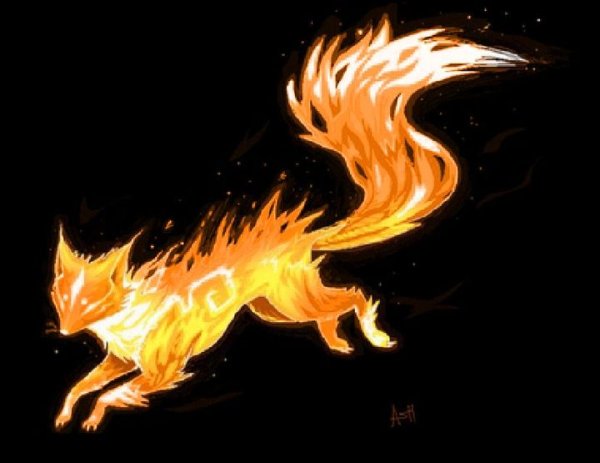 Огненная лиса