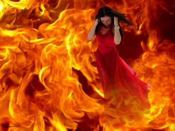 Пиренеи в огне Автор