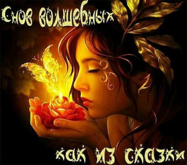 Спокойной ночи сладких снов