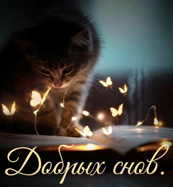 Кот со свечкой