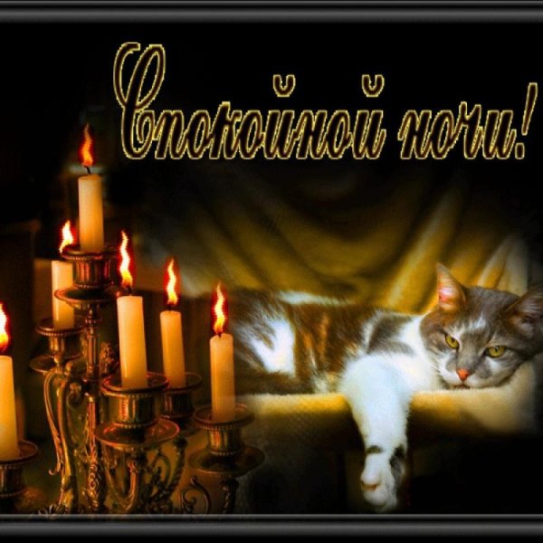 Доброго вечера и спокойной ночи