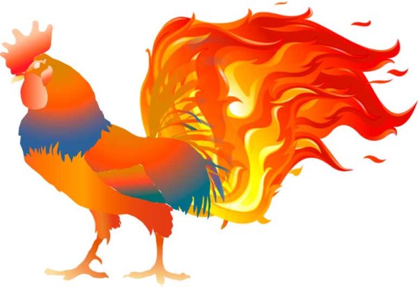 Петух в огне