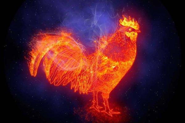 Огненный петушок