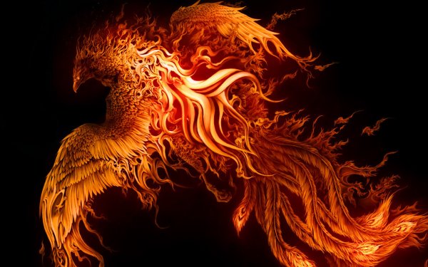 Красивая Жар птица