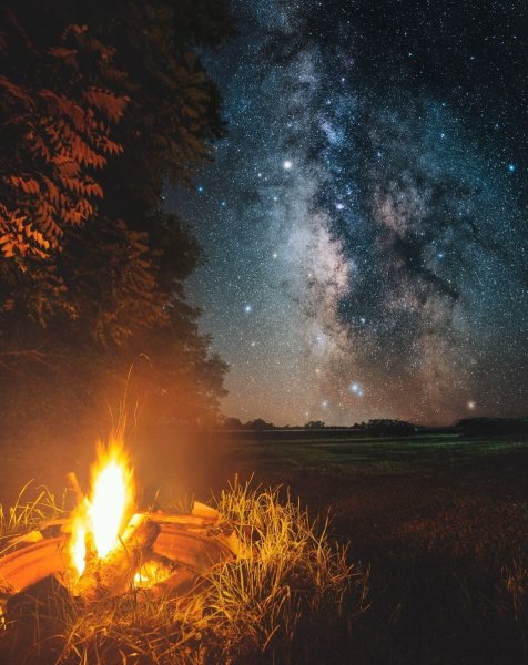 Костер в лесу