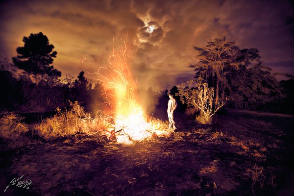 Костер в лесу