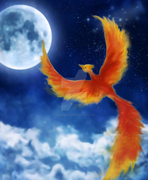 Полет птицы Феникса