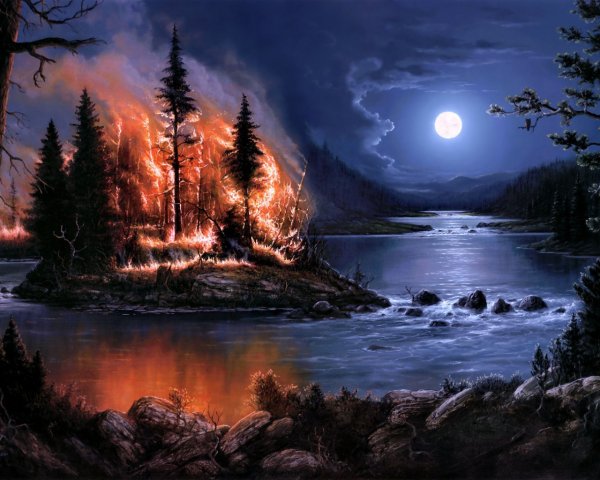 Пейзаж ночной лес