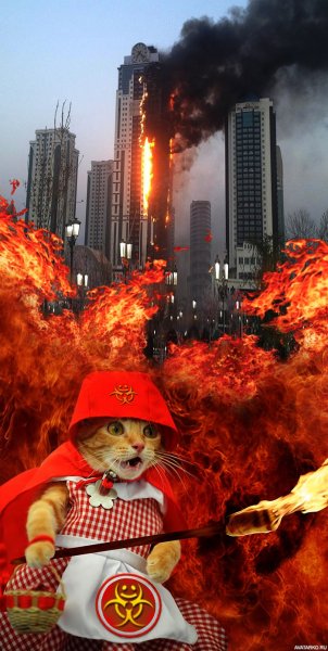 Кот на фоне пожара