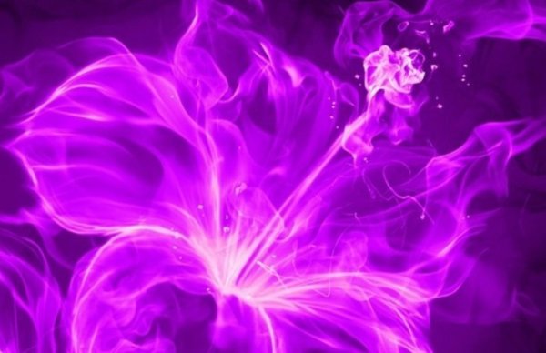 Фиолетовый неон