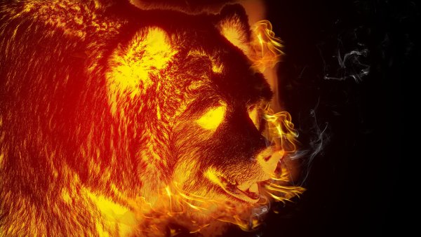 Огненный медведь