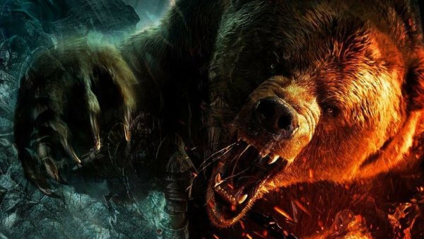 Медведь в ярости