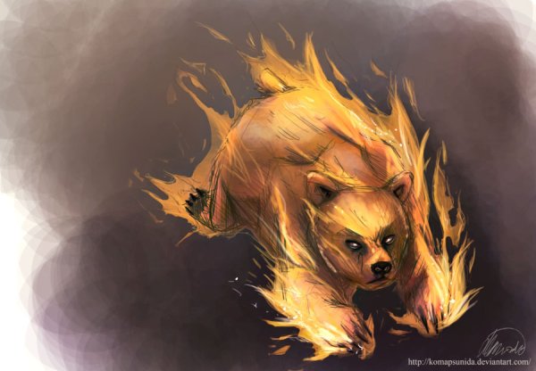 Огненный медведь