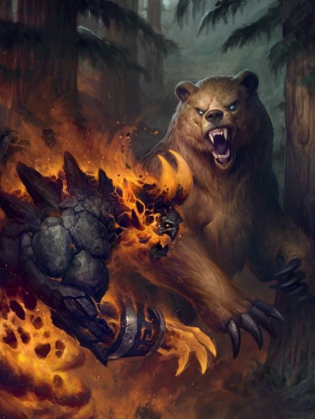 Вербер медведь оборотень