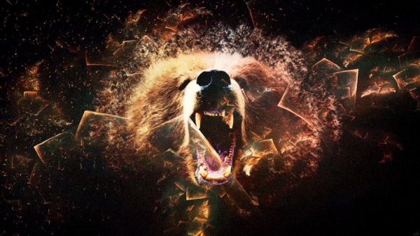 Медведь абстракция