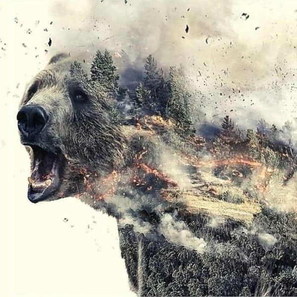 Горящий медведь