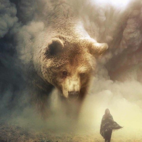 Одинокий медведь