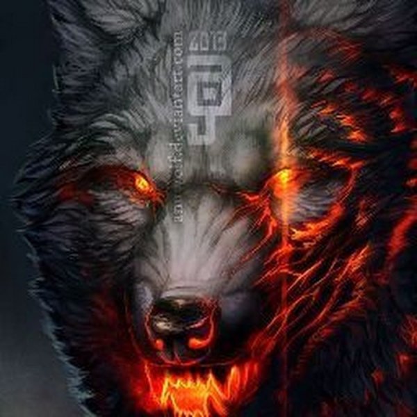 Волки крутые