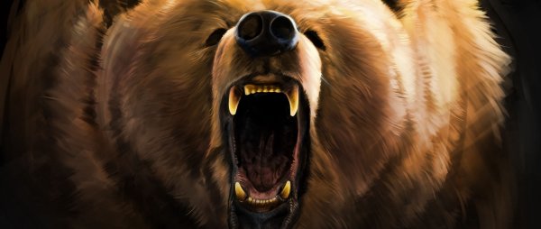 Свирепый медведь