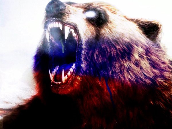 Медведь в гневе