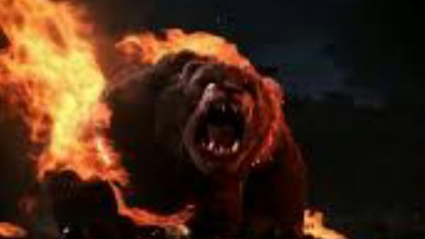 Огненный медведь