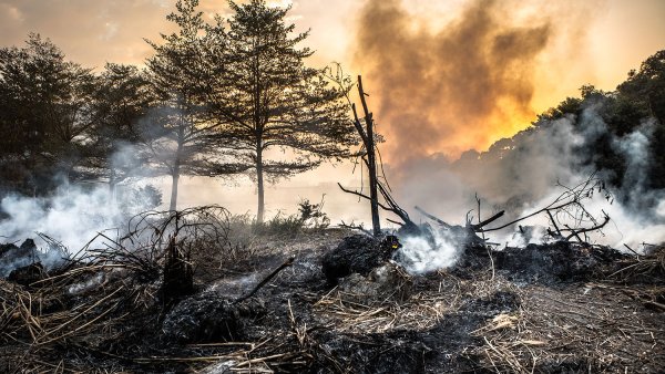 Экологическая катастрофа