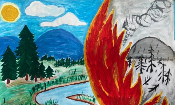 Защита природы от пожара