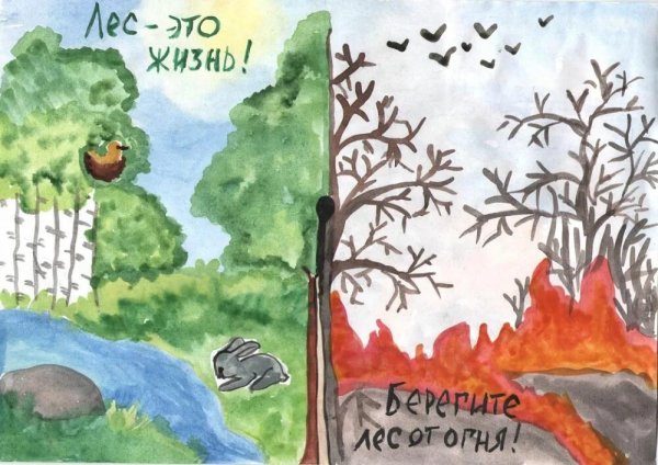 Берегите лес от пожара рисунки